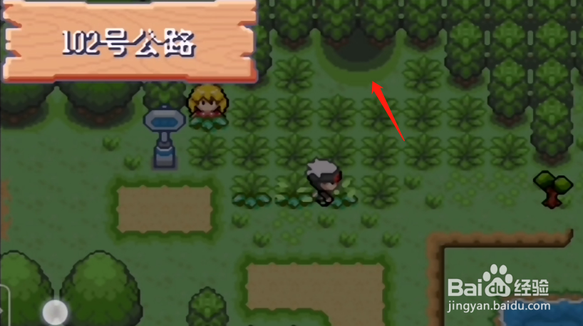 究极绿宝石5小智版甲贺忍蛙怎么获得