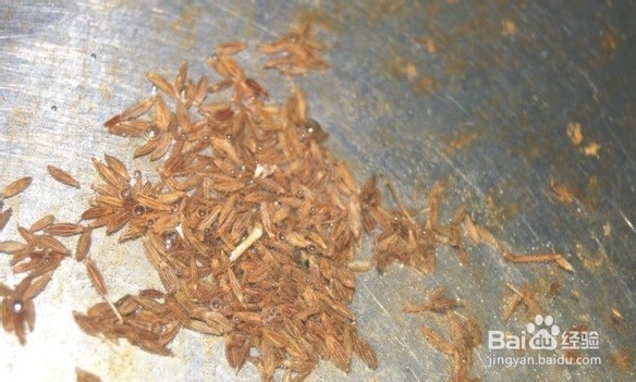 孜然香酥小黄豆