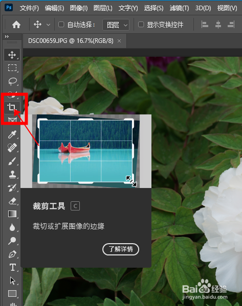 怎样在Photoshop中按比例裁剪图片