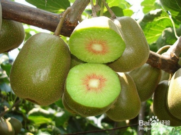 张家界市区住宿