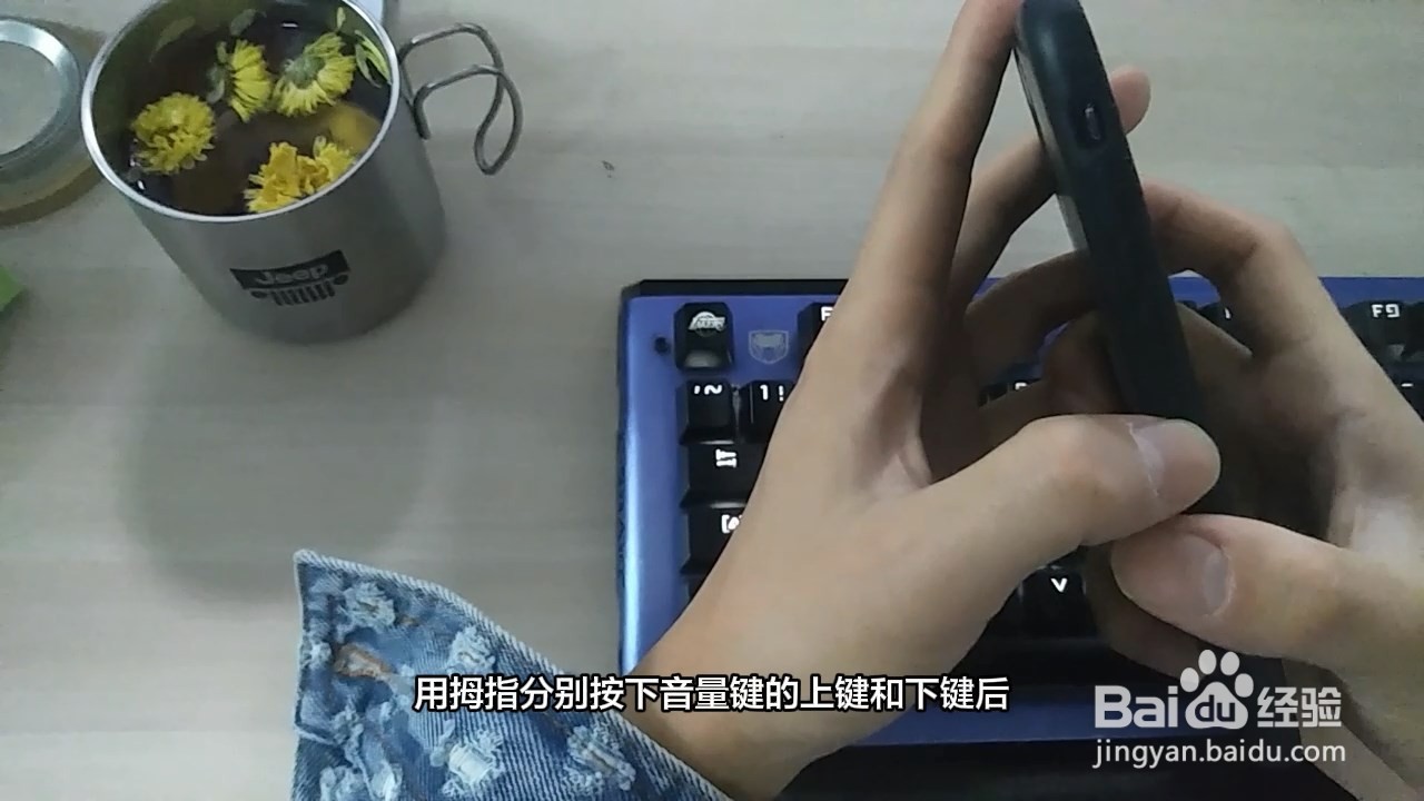 苹果强制关机
