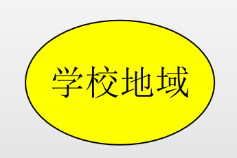 山东新高考如何填志愿