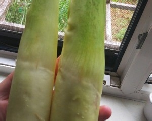 怎么做茭白炒里脊