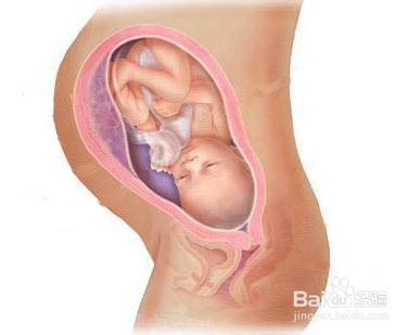 准妈妈应注意防止哪些环境伤害