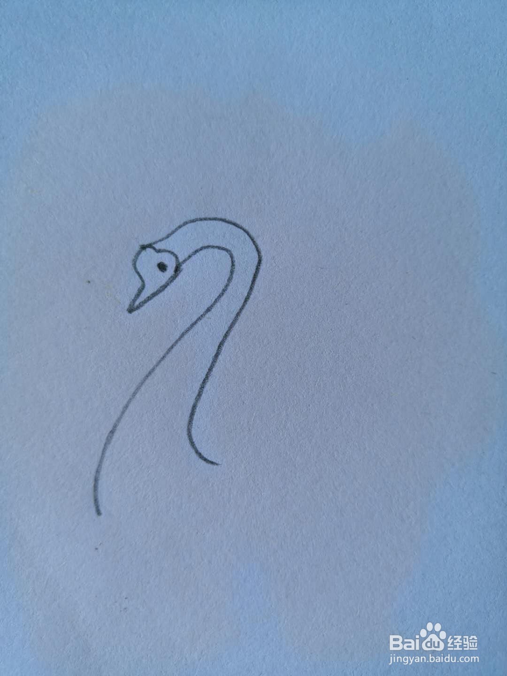 如何画天鹅简笔画