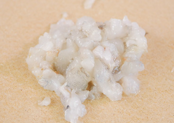 好吃的虾肉鸡蛋杯