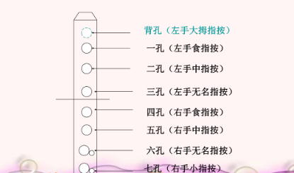 竖笛指法七孔图片