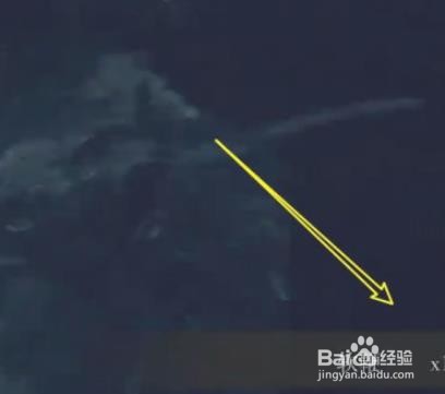艾尔登法环软鞭怎么获得