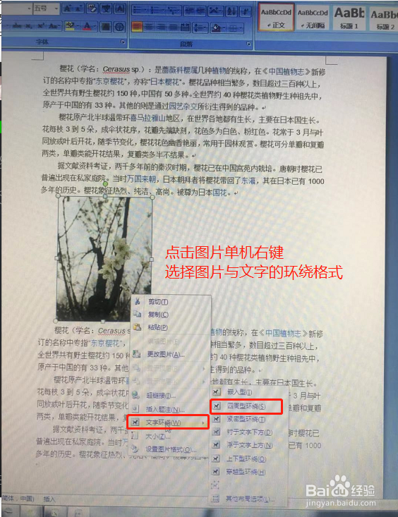 如何在Word插入图片