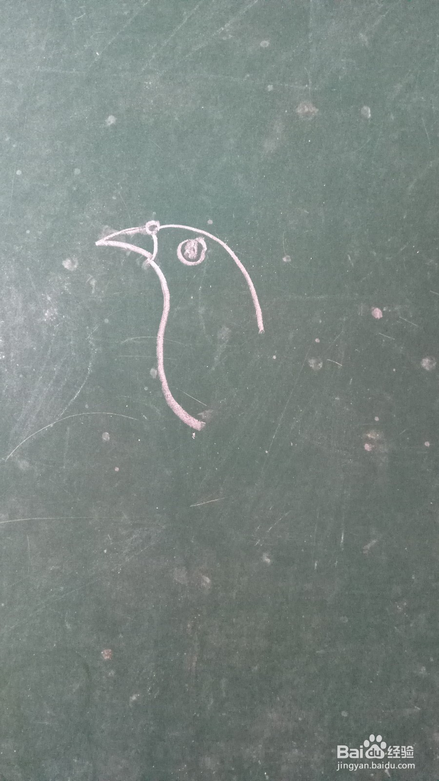 儿童简笔画鸽子的画法