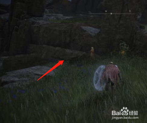 《艾尔登法环》湖之利耶尼亚复仇者的破屋攻略