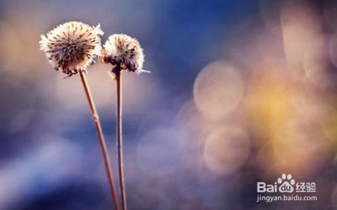 大学毕业后可能会面临的问题