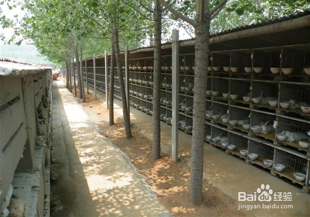 返乡农民工回家养殖盘步骤？