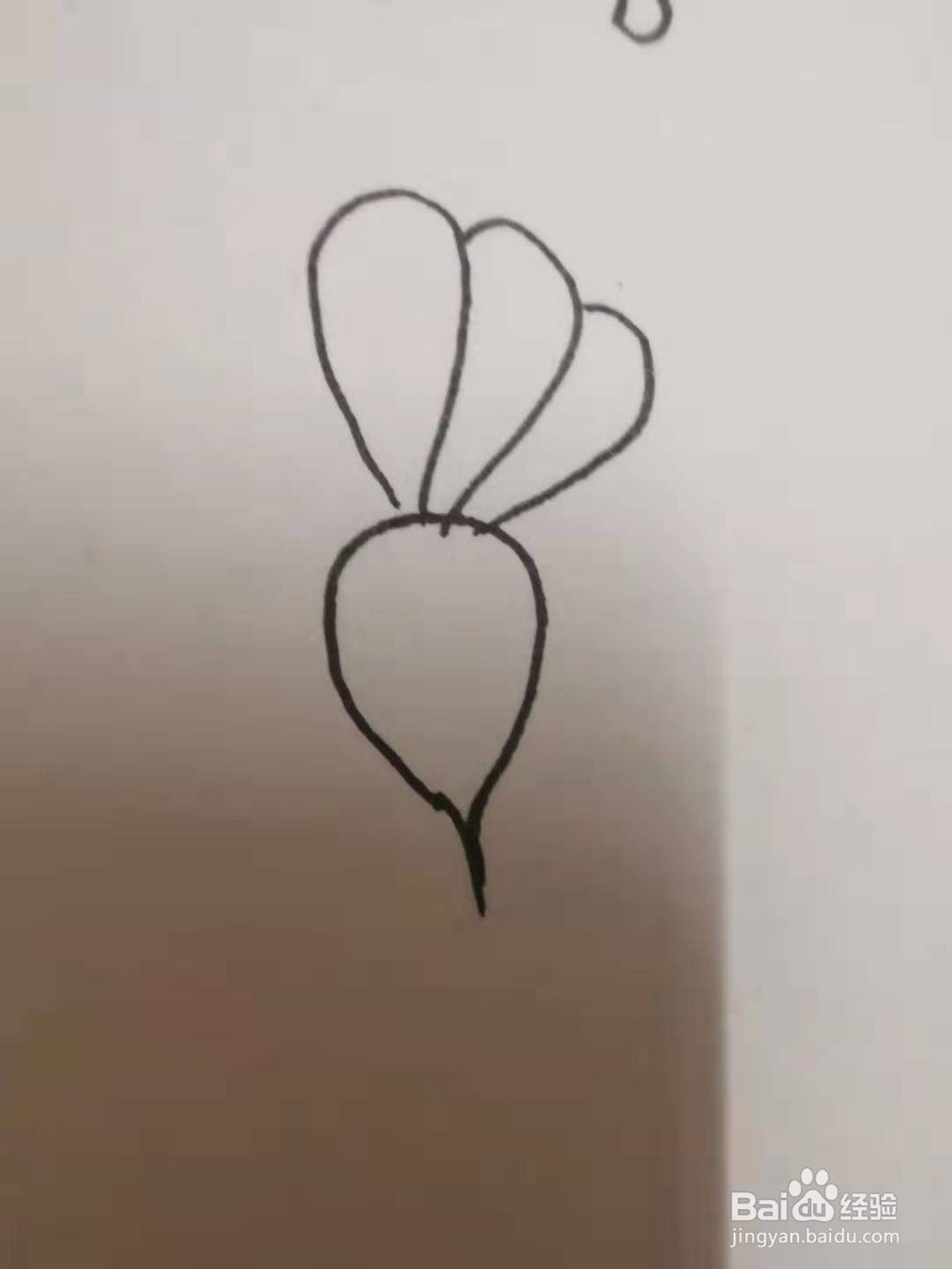 萝卜的简笔画