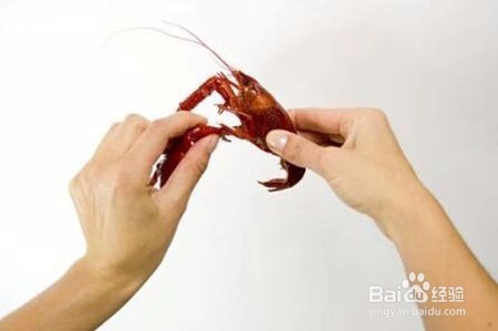 教你快速优雅地吃掉小龙虾