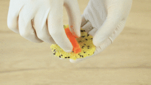 小米红薯条-小吃之最