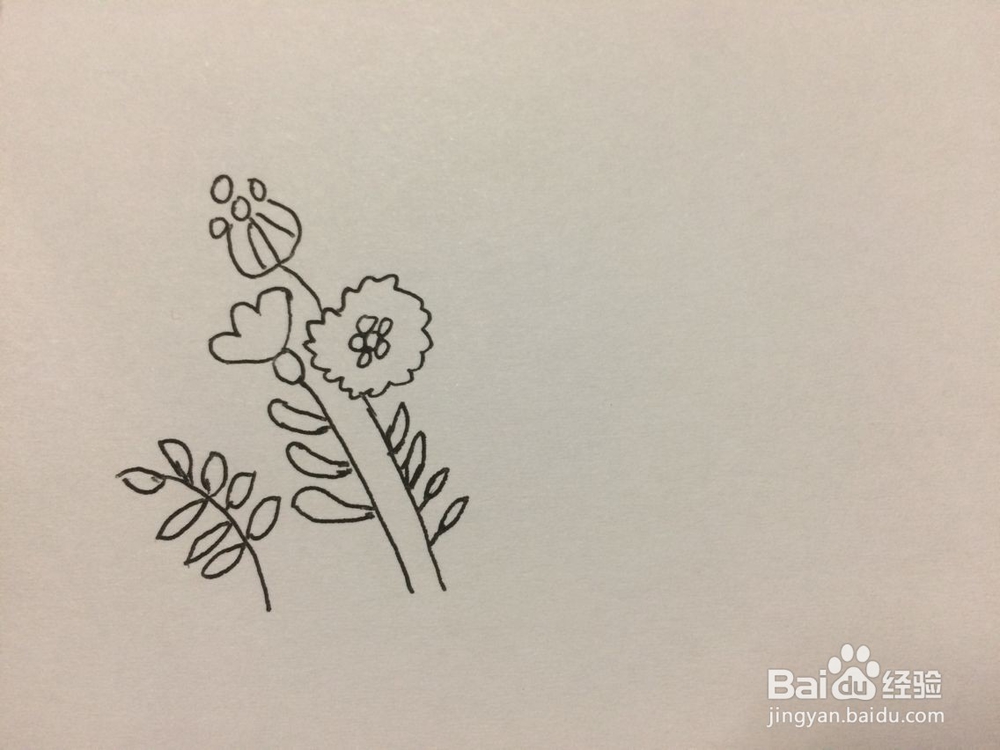 黑板报小花插图的画法