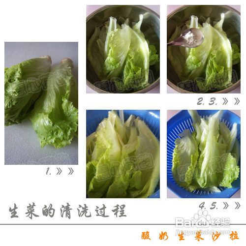 酸奶生菜沙拉的做法