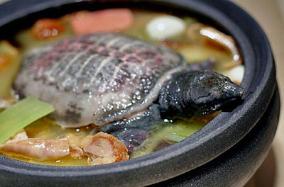 孕期少吃18种危险食物