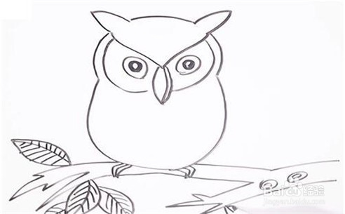 伴儿成长简笔画系列-怎样画猫头鹰简笔画