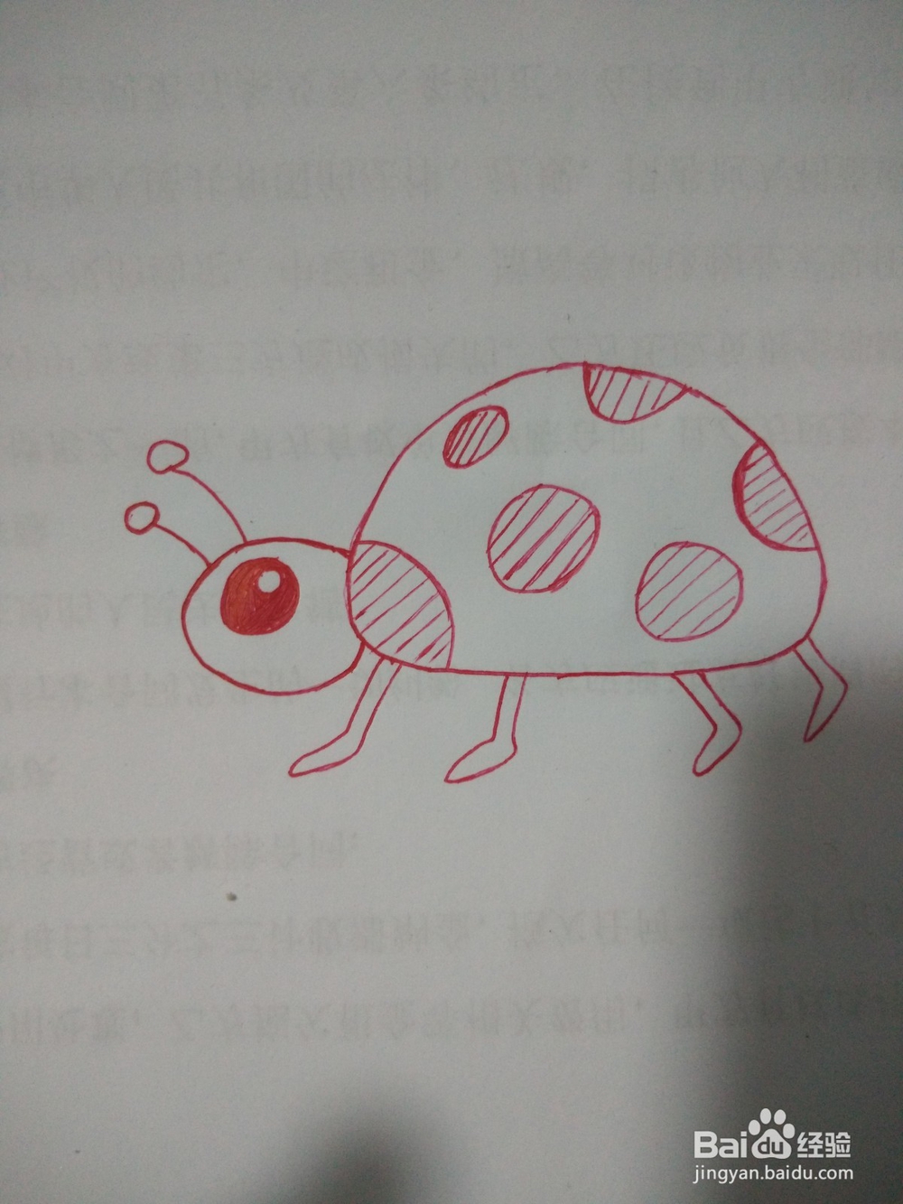 七星瓢虫的简笔画怎么画