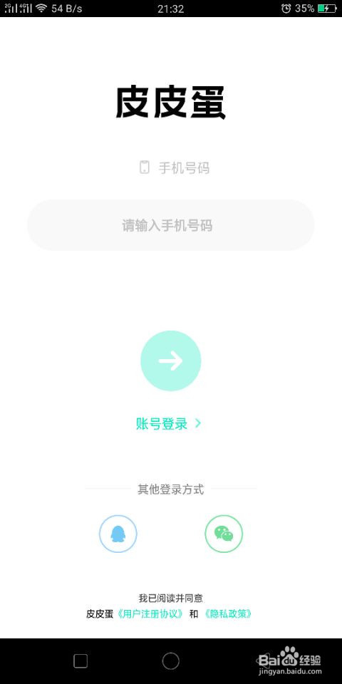 皮皮蛋怎么充值P币和蓝钻