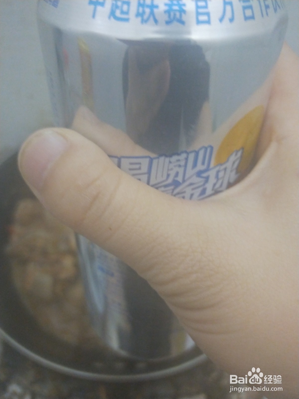 啤酒鸭的家常做法