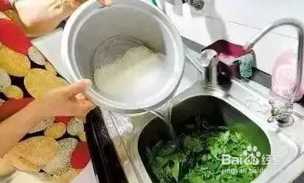 淘米水还能用来做更有用的事情！