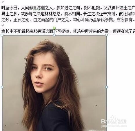 在word文档中插入的图片看不到怎么办