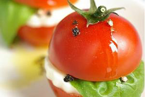 可以影响人一生的五种食物