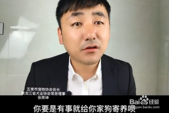 狗狗可以饿几天