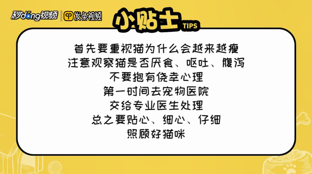 猫越来越瘦突然死了是怎么回事