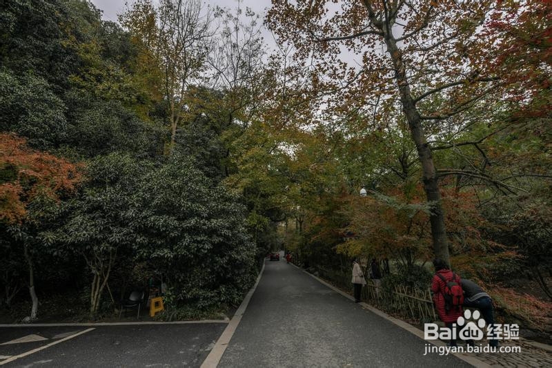 诗画浙江畅游杭州攻略5