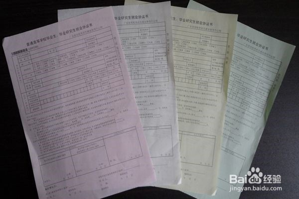 毕业生就业报到完整流程