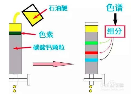 色谱 基础知识 起源 百度经验 色谱 基础知识 起源 百度经验