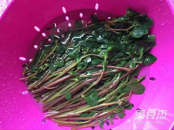 凉拌马齿苋的做法