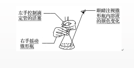 水的电离和溶液的pH