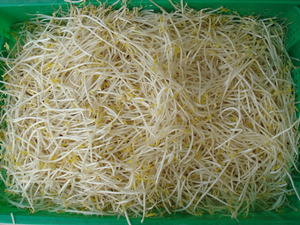 吃了必瘦的五大能减肥食物