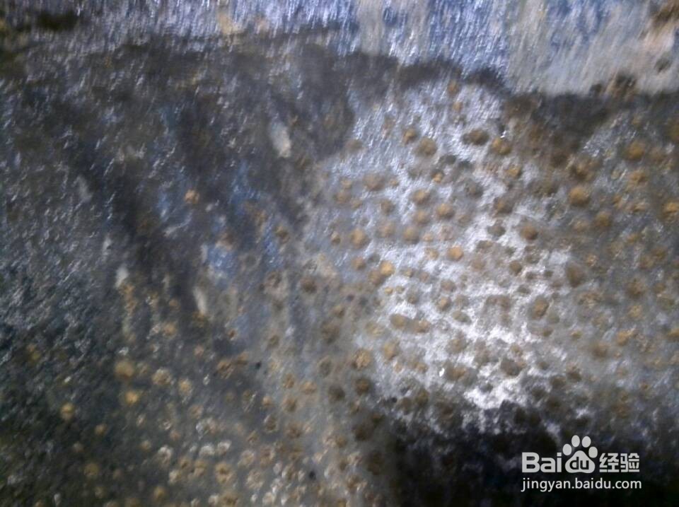 浮选槽修复案例