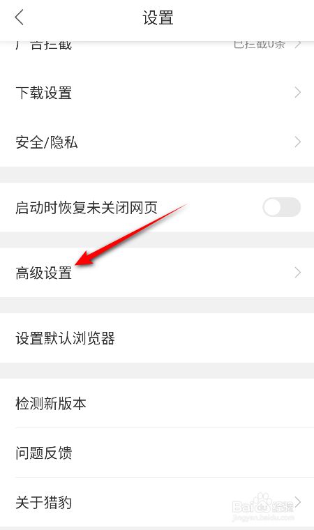 猎豹浏览器怎么恢复默认设置