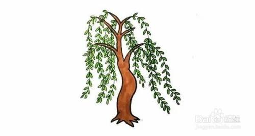如何画一棵"柳树"?