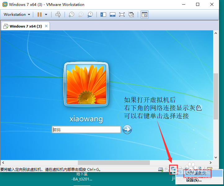 VMware连接不上网络