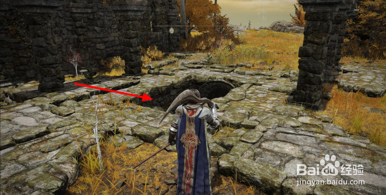 艾尔登法环鲜血旋流获取方法