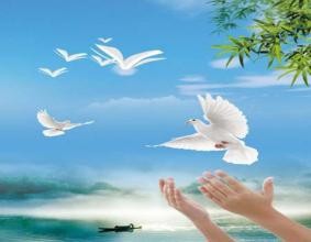 心理咨询师如何观察来访者的情绪？