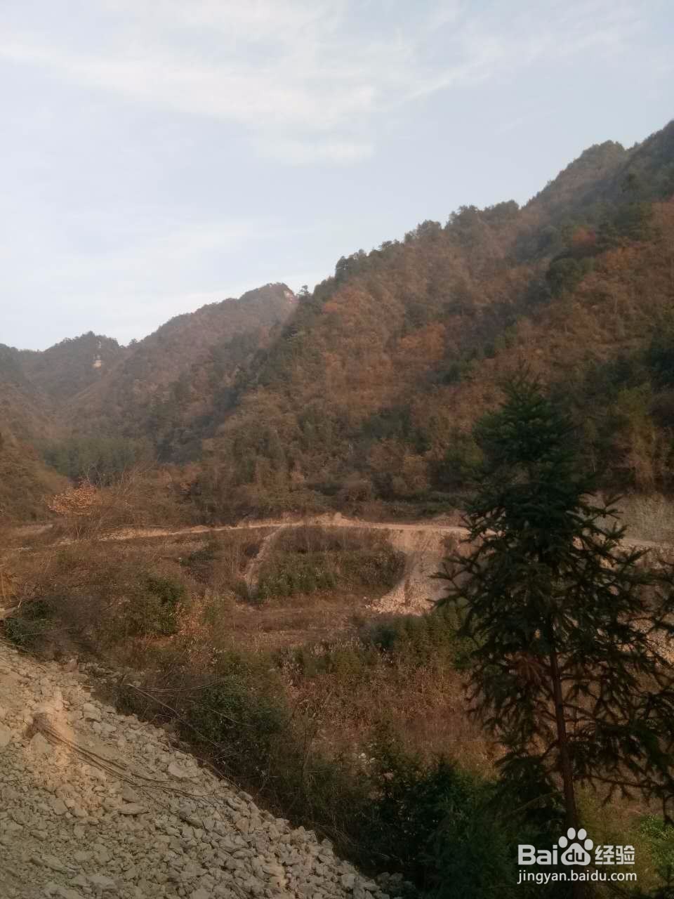 田云青老师旅游景观册编辑方法