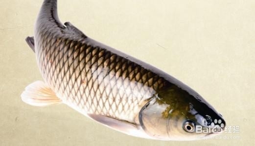 中医教你三伏天怎样养生