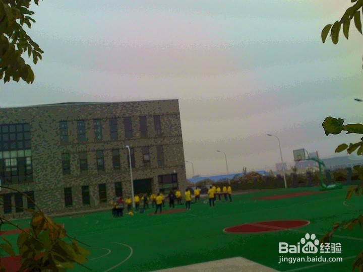 初中学生怎样搞好课外活动