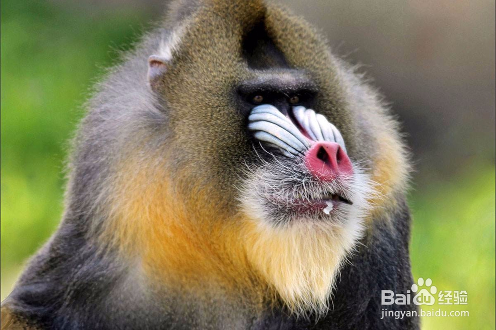 有哪些不良的生活习惯会影响你健康