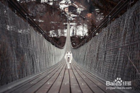 晚上几点睡觉才不算熬夜？