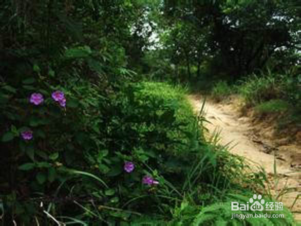 怎样防止蚊虫叮咬